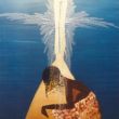 'She slides right into the promised land', 80x55cm acrylverf op doek, 1992, verkocht